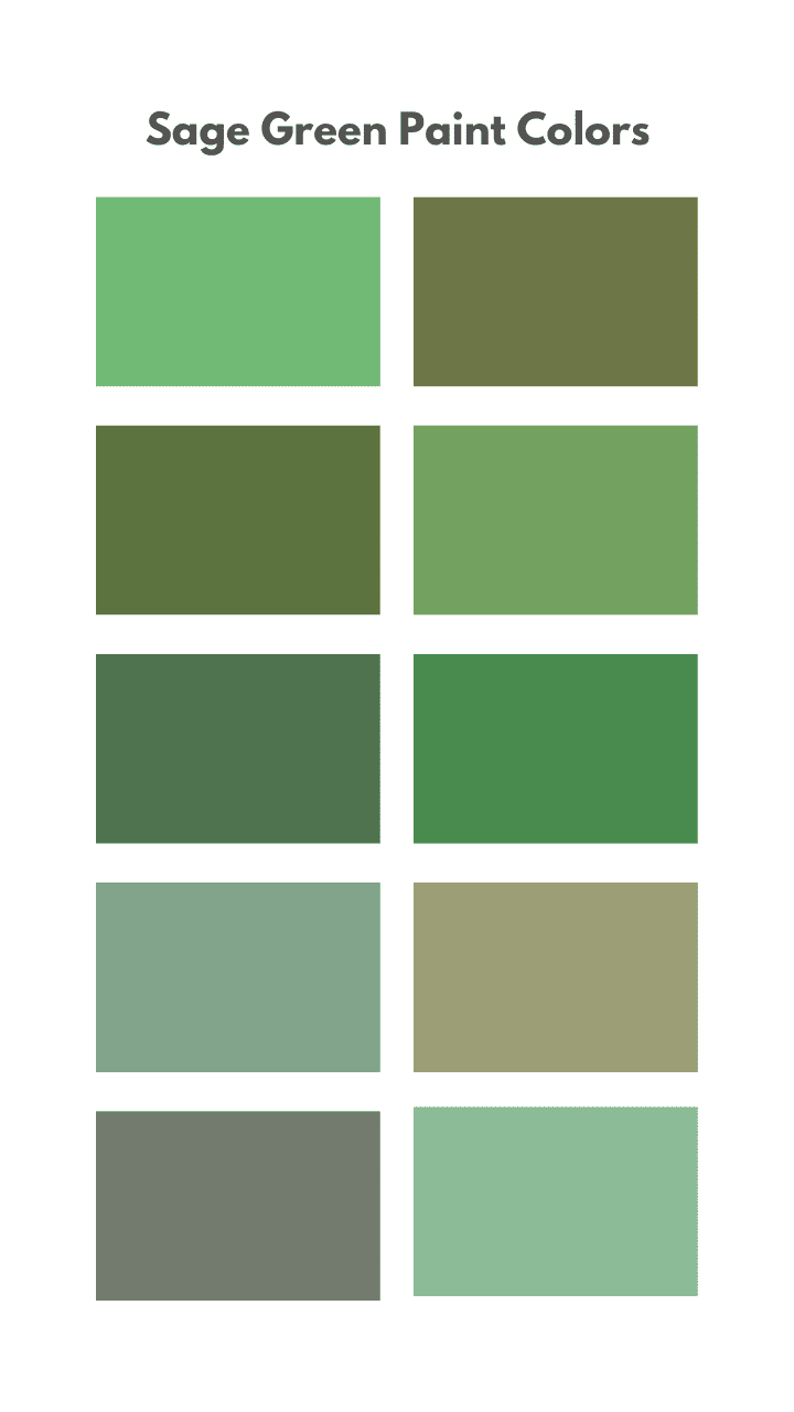 +50 Sage Green Paint Colors for Calming Your Rooms - Eggradients.com